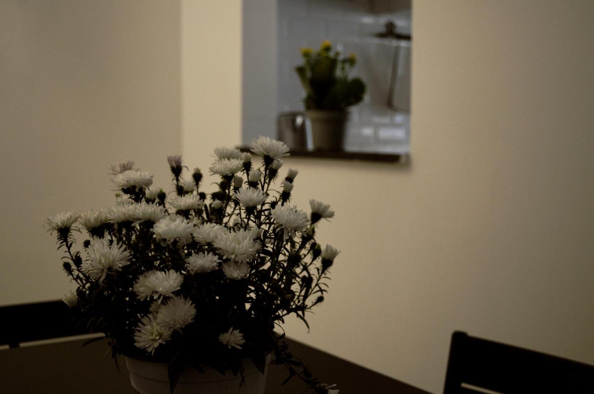 Pietra Papa Appartement Rome